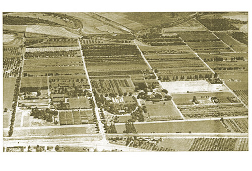 Aerial photograph of the California Nursery (looking South)