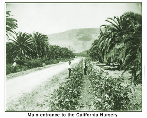 California Nursery entry (Nursery Avenue).