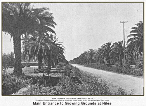 California Nursery Co. Entrance.