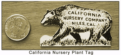 California Nursery Co. plant tag