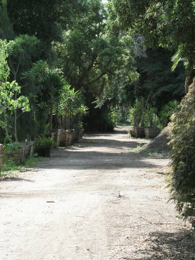 California Nursery Co. Shaded Growing Area