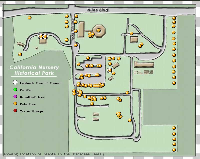 California Nursery Company tree inventory map