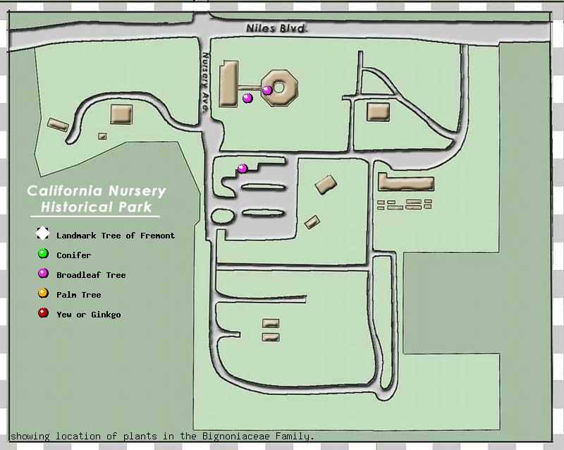 California Nursery Company tree inventory map