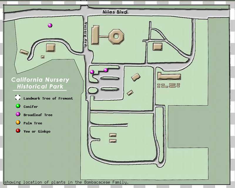 California Nursery Company tree inventory map