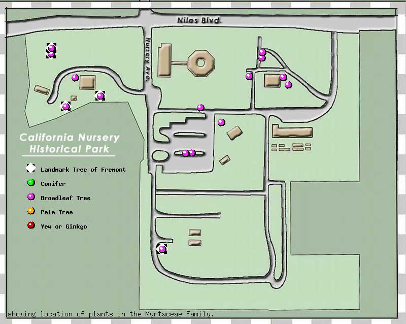 California Nursery Company tree inventory map