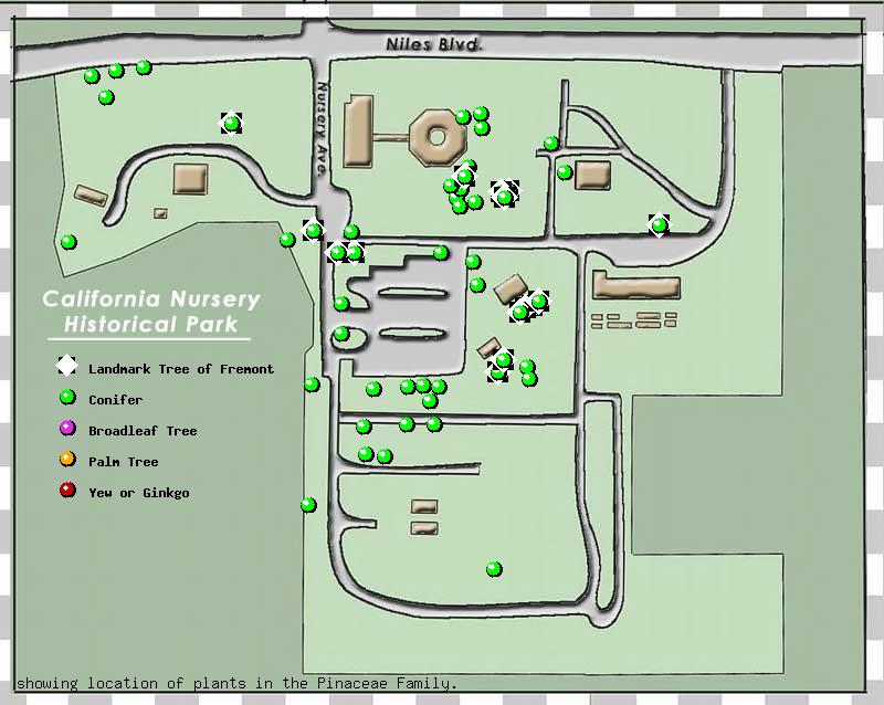 California Nursery Company tree inventory map