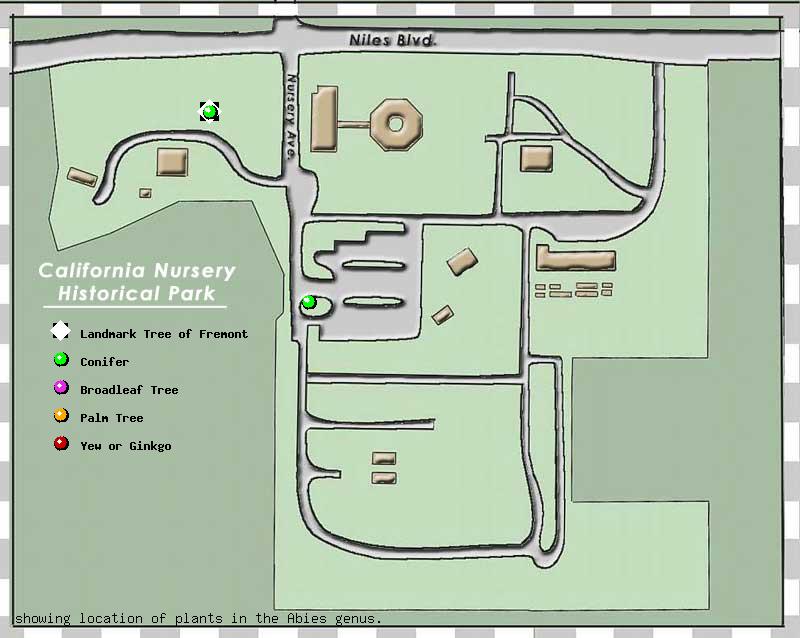 California Nursery Company tree inventory map