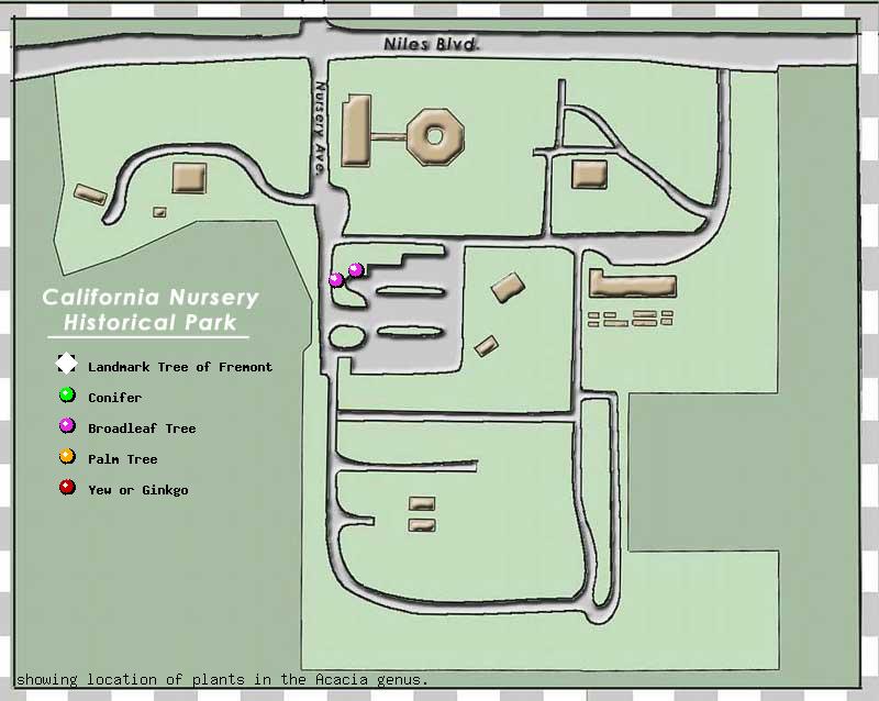California Nursery Company tree inventory map