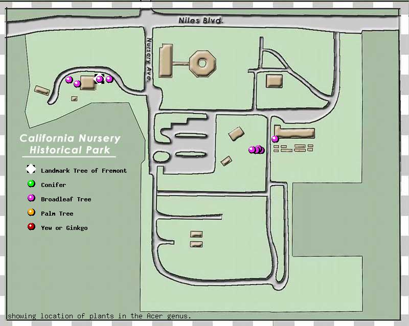 California Nursery Company tree inventory map