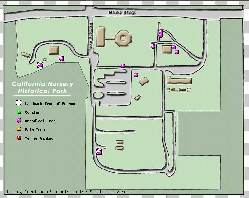 California Nursery Company tree inventory map