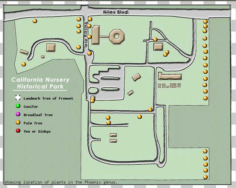 California Nursery Company tree inventory map