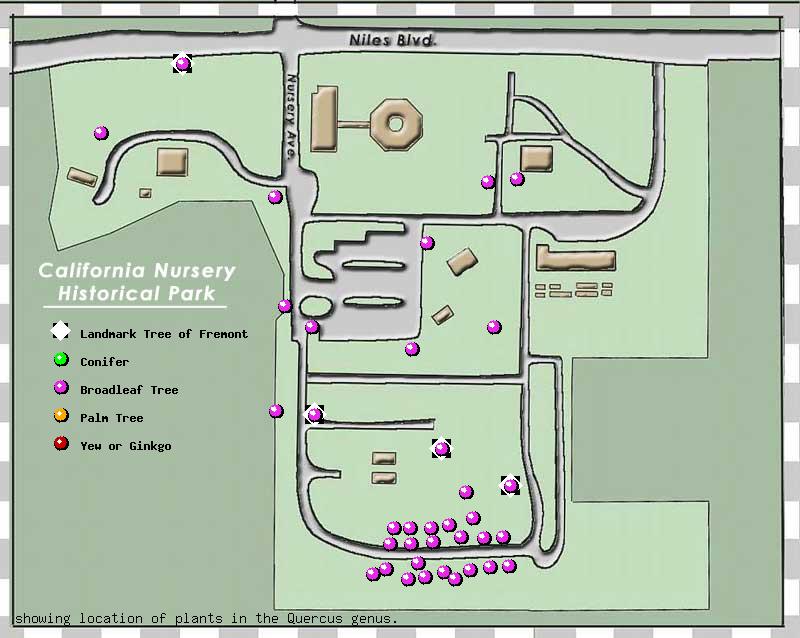 California Nursery Company tree inventory map