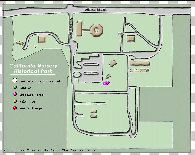 California Nursery Company tree inventory map