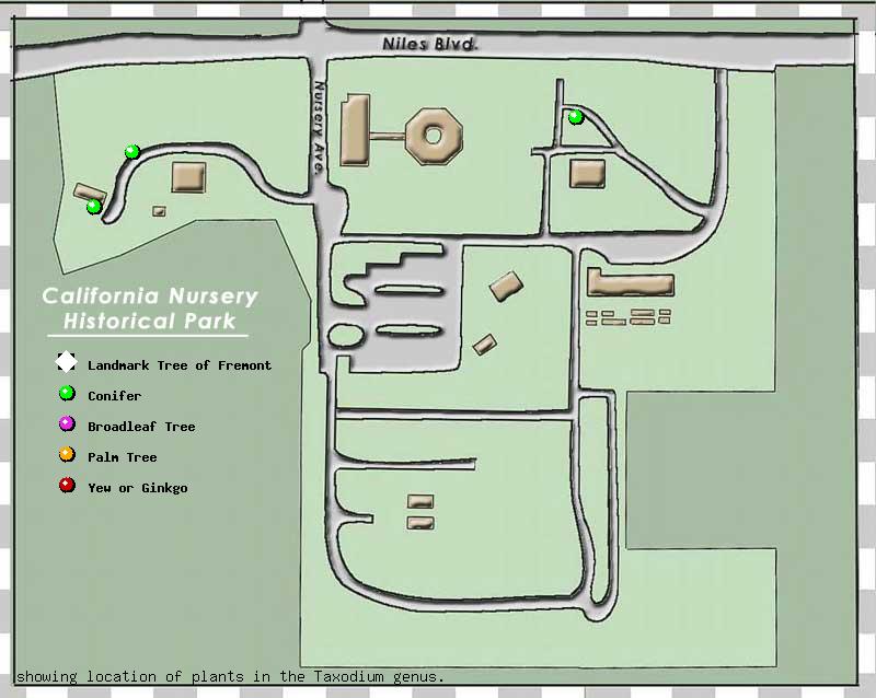 California Nursery Company tree inventory map