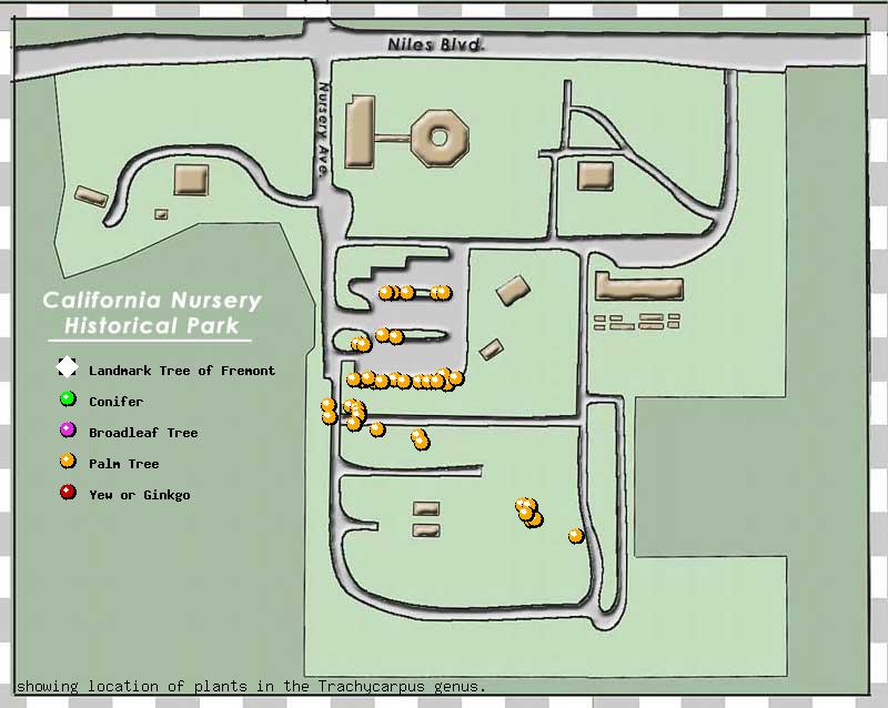 California Nursery Company tree inventory map