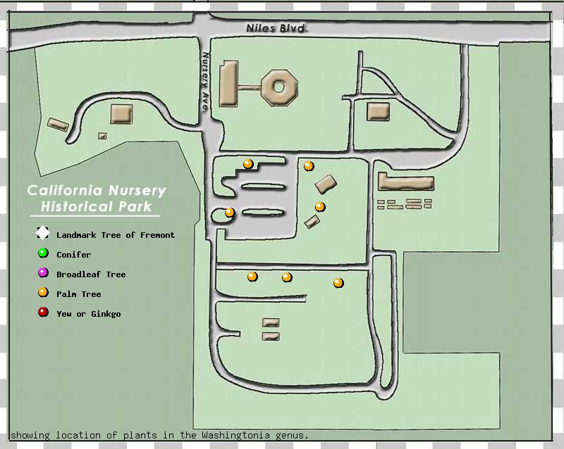 California Nursery Company tree inventory map