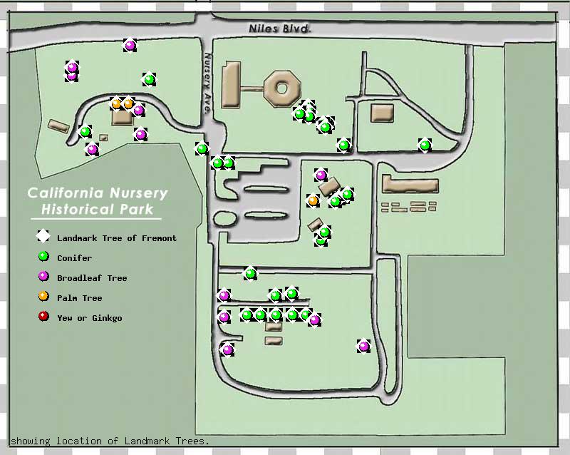 California Nursery Company tree inventory map