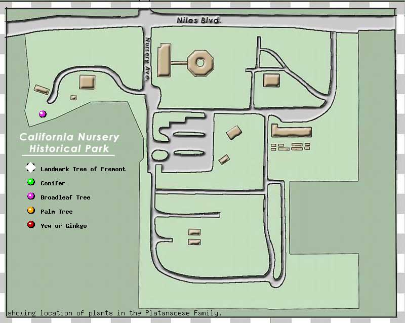 California Nursery Company tree inventory map