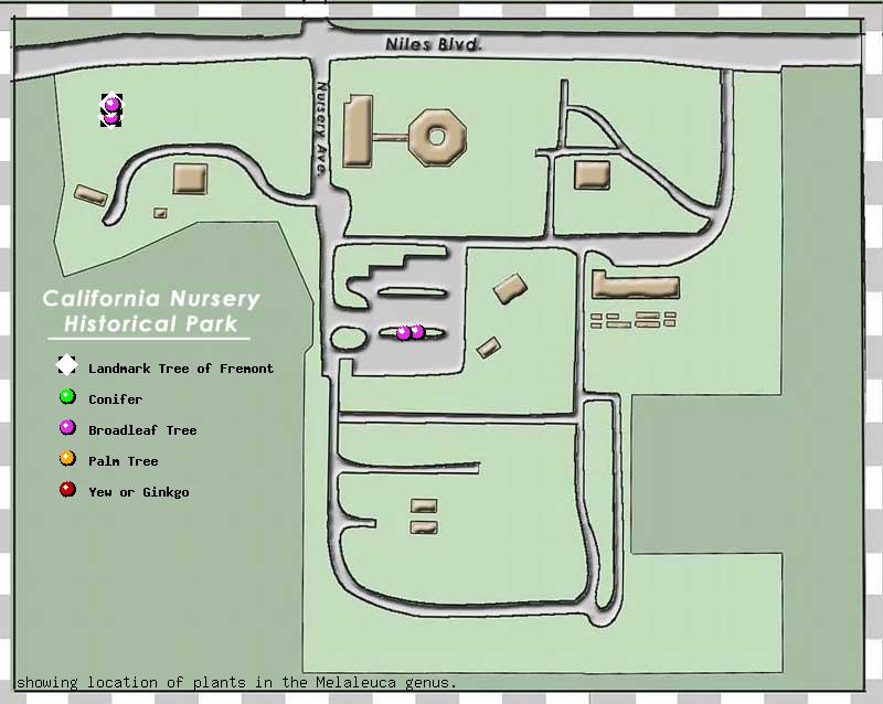 California Nursery Company tree inventory map